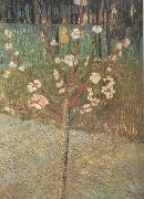 Vincent Van Gogh Almond Tree in Blossom (nn04) USA oil painting reproduction